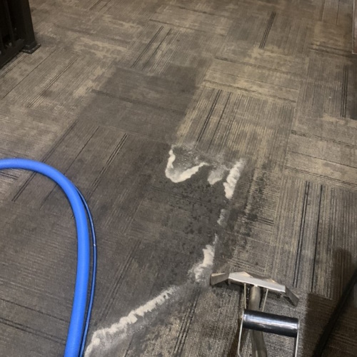 Commercial Carpet Steam Cleaning Service