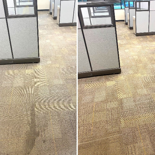 Office Carpet Cleaning Services