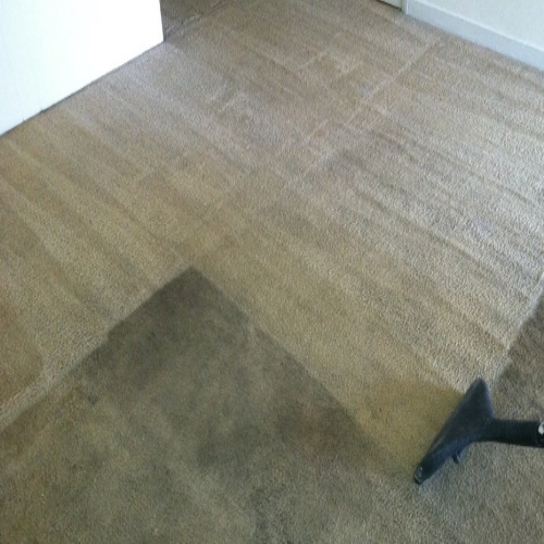 Steam Carpet Cleaning Ipswich