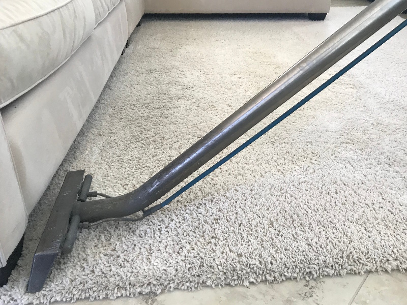 Carpet Cleaner For Rental